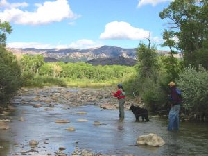 Fly Fishing in River