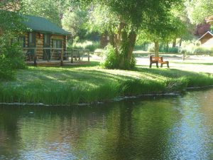 lazy_lb_ranch_013