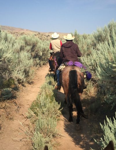 Two riders on horseback on a trail with towering sagebrush - Lazy L&B Dude Ranch Wyoming