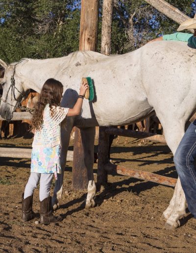 Girl Grooming Horse with Wrangler Lazy L&B Dude Ranch Wyoming