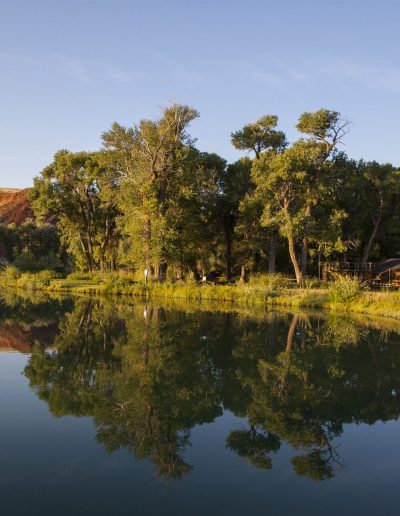 Pond with very still water reflecting buck and rail fence and cottonwood trees in early morning light - Lazy L&B Guest Ranch Wyoming