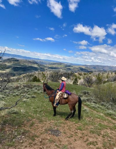 Cowgirl on back of horse looking out on a vast landscape of blue sky, mountains and rolling fields - Lazy L&B Guest Ranch Wyoming