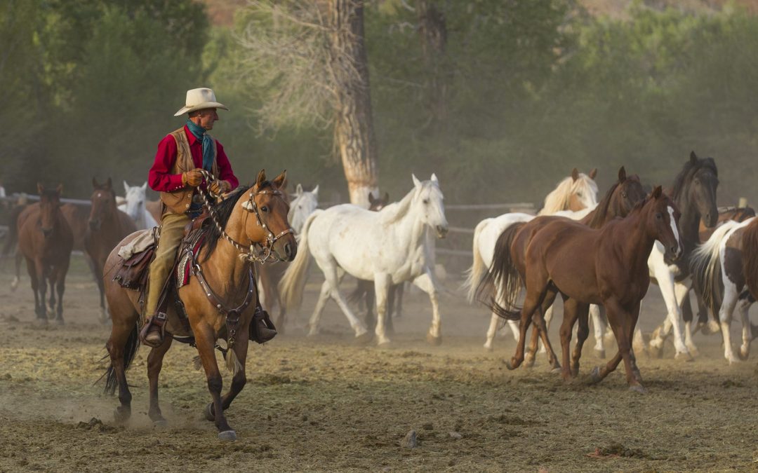 What is a Dude Ranch?