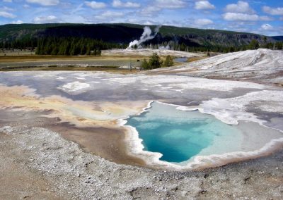 Heart Spring in the Upper Geyser Basin with Castle Geyser and bison in the background Yellowstone National park