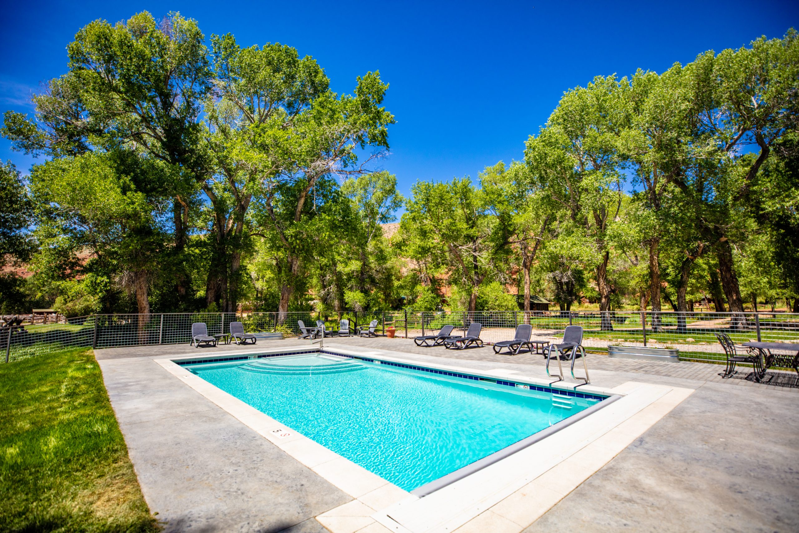 In ground swimming pool surrounded by green cottonwood trees Lazy L&B Dude Guest Ranch Dubois Wyoming