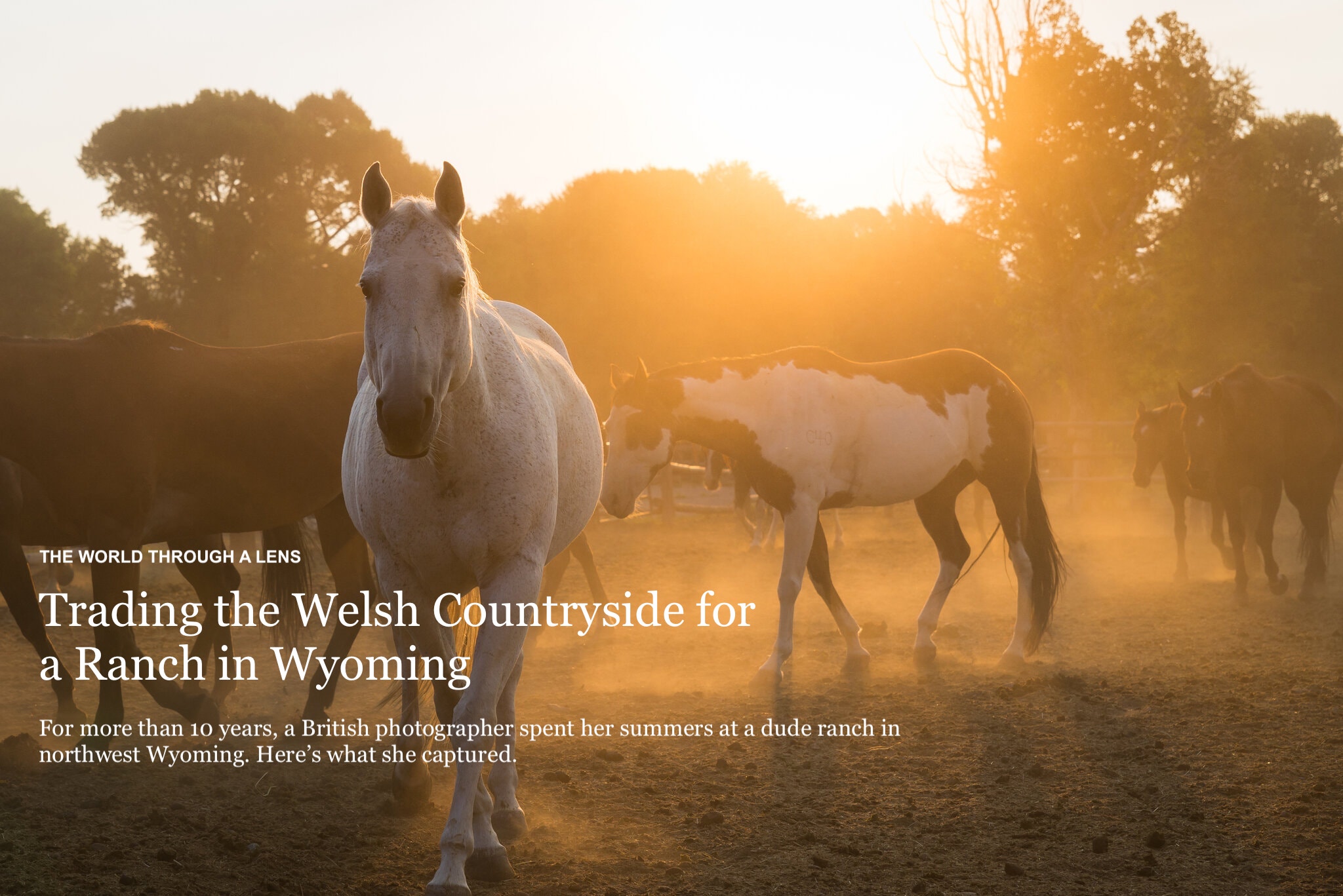 New York Times NYT Article Lazy L&B Guest Dude Ranch Dubois Wyoming