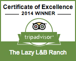 TripAdvisor Certificate of Excellence